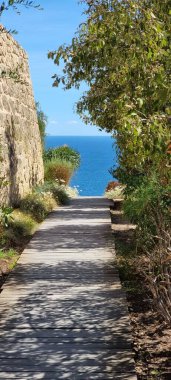 Sahil şeridinde bir yürüyüş yolunun dikey görüntüsü.