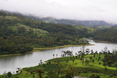 Ağaçları olan yemyeşil bir yamacın yanında bir nehir.