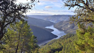 Dağların yakınında güzel bir göl manzarası.