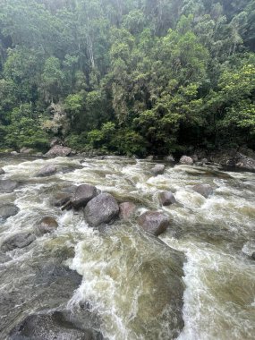 Kuzey Queensland, Avustralya 'da bir şelale akıntısının dikey görüntüsü.