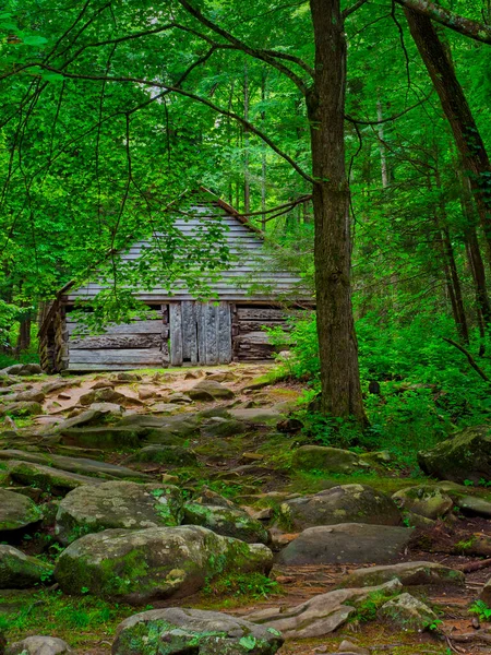 古い木造の家の美しいショットは 木に囲まれた森です — ストック写真