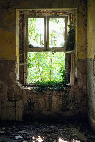Ένα Κάθετο Πλάνο Ενός Σπασμένου Παραθύρου Ένα Εγκαταλελειμμένο Κτίριο — Φωτογραφία Αρχείου