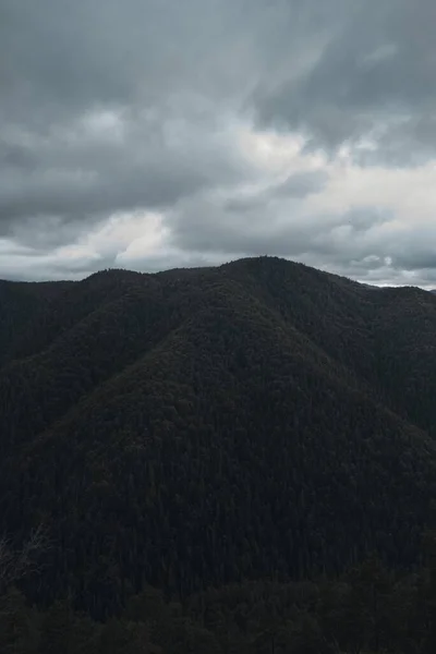 Uma Vista Aérea Vasta Paisagem Florestal Montanhosa Parque Nacional Slovak — Fotografia de Stock