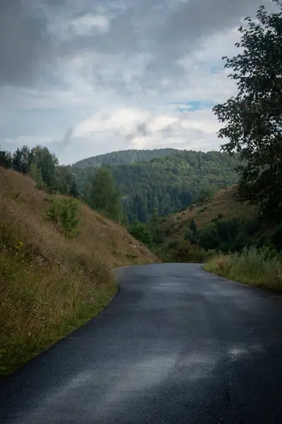 Pionowa Droga Prowadząca Krajobrazu Ponury Dzień Wzgórze Pokryte Drzewami Żółtą — Zdjęcie stockowe
