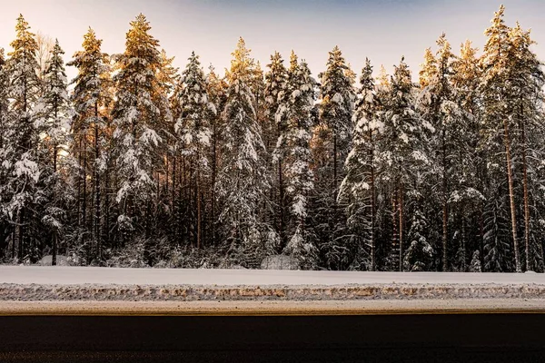 Pintoresco Plano Árboles Cubiertos Nieve Lado Una Carretera Durante Invierno — Foto de Stock