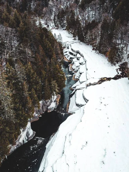 Una Vista Vertical Río Con Árboles Riberas Cubiertas Nieve Día — Foto de Stock
