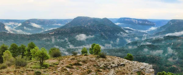 Μια Πανοραμική Θέα Των Θάμνων Βραχώδη Βράχο Και Πράσινα Βουνά — Φωτογραφία Αρχείου
