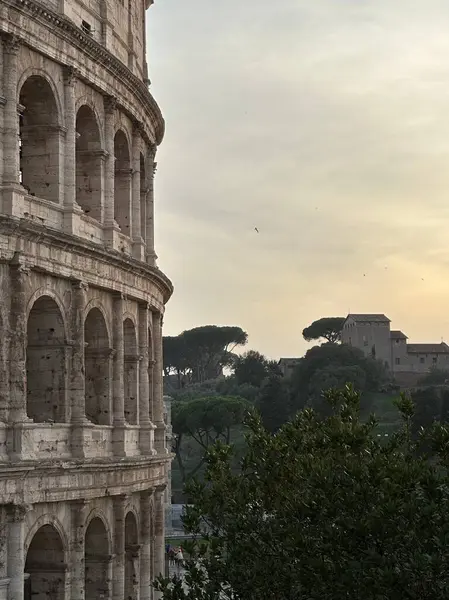 Vertikální Záběr Kolosea Proti Stromům Římě Itálie — Stock fotografie