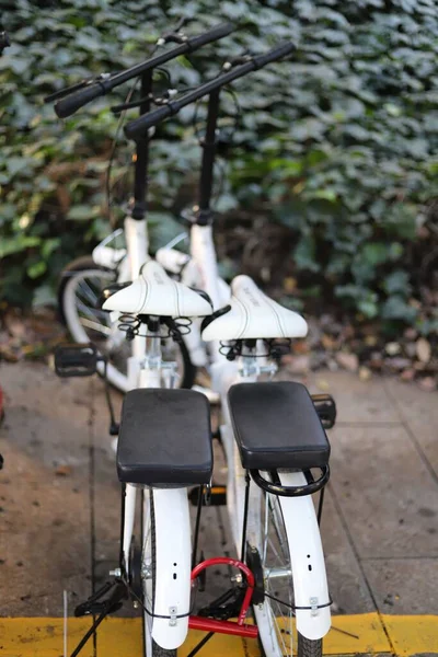 Vertical Shot Two White Bicycles — Stock Photo, Image
