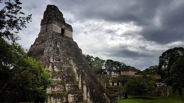グアテマラのティカルにある古代の石のピラミッドの美しいショット — ストック写真