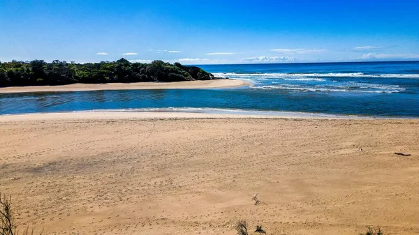 Deniz Dalgalarının Yeşillik Plajını Yıktığı Bir Hava Manzarası — Stok fotoğraf