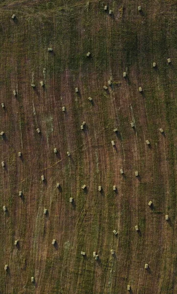 Eine Luftaufnahme Von Heuballen Auf Einem Landwirtschaftlichen Feld — Stockfoto