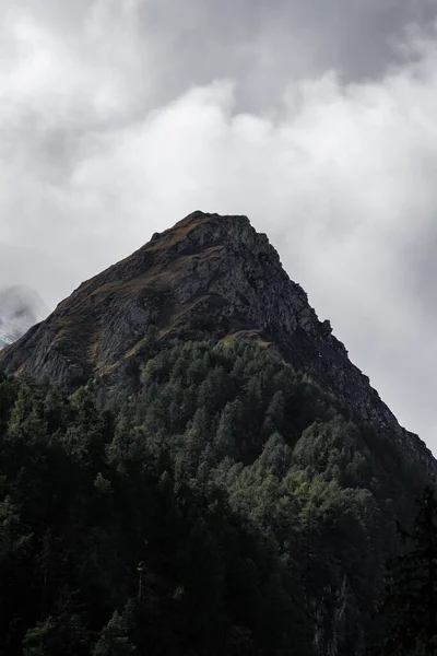 森林覆盖的一座山的垂直截图 其背后是戏剧性的多云的天空 — 图库照片