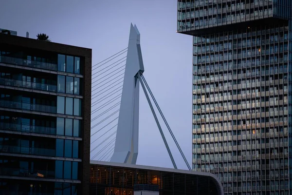 Hollanda Rotterdam Daki Iki Yüksek Modern Bina Arasındaki Erasmus Köprüsü — Stok fotoğraf