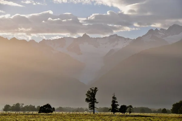 Liščí Ledovec Při Východu Slunce Proti Poli Horám Novém Zélandu — Stock fotografie