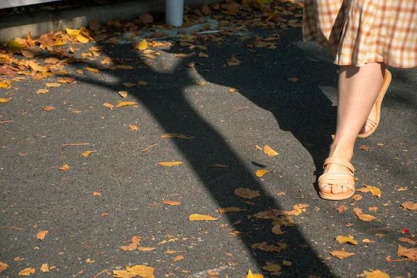Samotna Kobieta Spacerująca Jesienną Ulicą Jesienną Pogodę — Zdjęcie stockowe