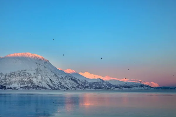 Een Adembenemend Uitzicht Vanaf Zee Van Besneeuwde Bergen Roze Blauwe — Stockfoto