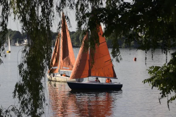 Две Парусные Лодки Озере Видимые Через Ветви Деревьев Гамбурге Германия — стоковое фото