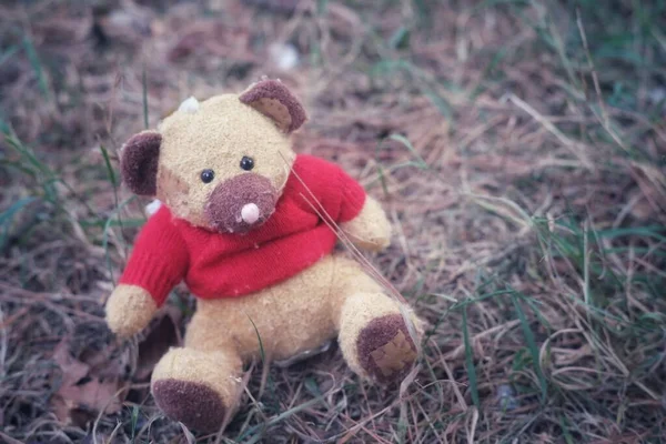 Одинокий Плюшевый Игрушечный Медведь Красном Свитере Плюшевое Животное Сидит Траве — стоковое фото