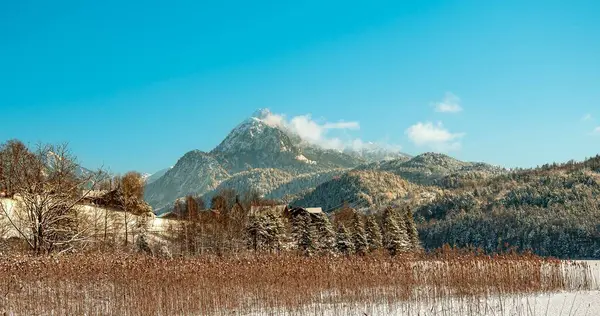 冬の日に青いスカイラインの前に木で覆われた斜面で山の景色 — ストック写真