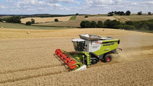 Claas Combine Harvesting Wheat Field — Stock Photo, Image