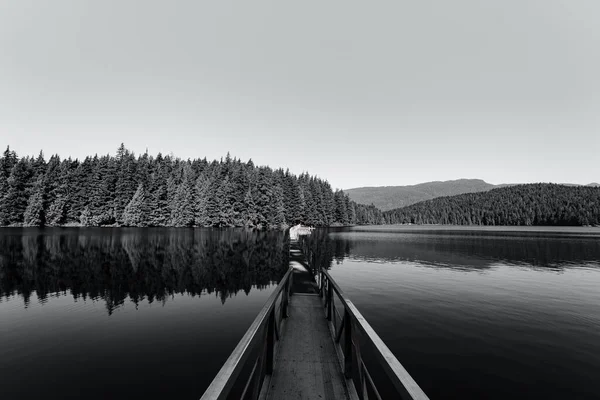 Grayscale Shot Long Dock Sasamat Lake Canada British Columbia Spring — Stock Photo, Image