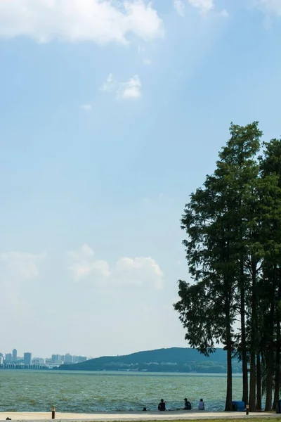 Пейзаж Дерева Моря Белыми Облаками Голубом Небе Вертикальный Снимок — стоковое фото