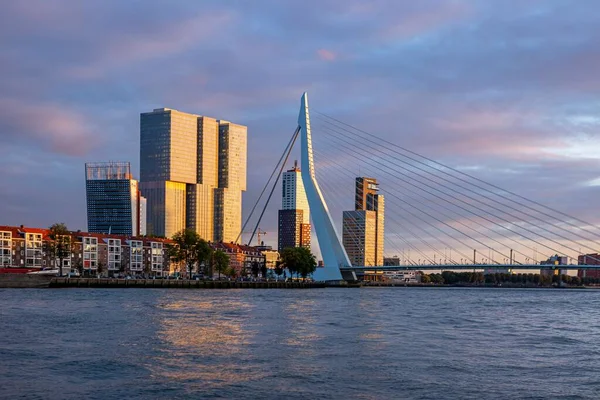 Günbatımında Tipik Modern Gökdelenlerin Mimarisi Önplanındaki Ünlü Erasmus Köprüsünün Bir — Stok fotoğraf