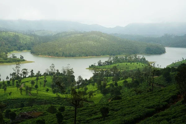 Lac Près Une Colline Verdoyante Avec Des Arbres — Photo