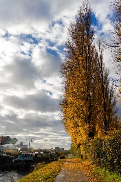 Bulutlu Bir Günde Sonbaharda Gün Batımında Aydınlatılan Altın Ağaçlarla Iskele — Stok fotoğraf