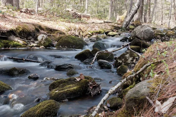 Primer Plano Río Que Fluye Través Rocas Medio Del Bosque — Foto de Stock