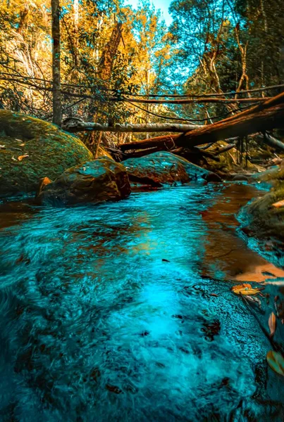 Río Que Fluye Área Picnic Somersby Falls Día Soleado Nueva —  Fotos de Stock