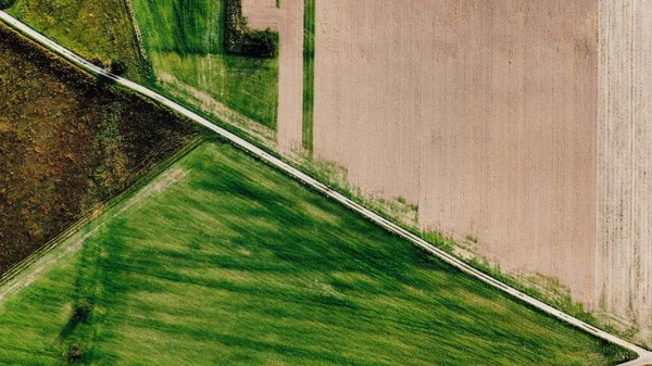 Eine Luftaufnahme Des Grünen Rasenfeldes Bei Tag — Stockfoto
