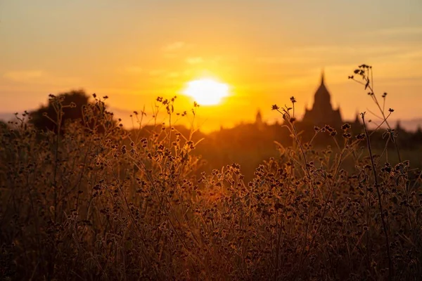 Gras Tempels Zijn Silhouet Door Ondergaande Zon Bagan Myanmar Een — Stockfoto