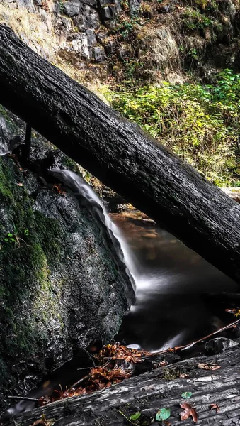 滝の近くの木の根の景色 — ストック写真