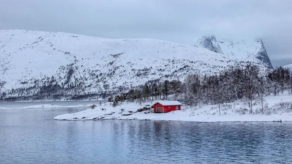 ノルウェーの湖から見た白い雪に覆われた湖畔の小さな赤い木造の家 — ストック写真