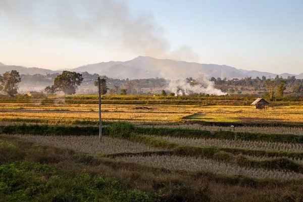 Midden Rijstvelden Bij Hsipaw Centraal Myanmar Brandt Een Klein Vuurtje — Stockfoto