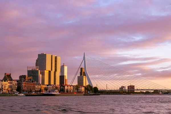 位于鹿特丹的天际线上 是著名的Erasmus桥的一部分 是典型的现代摩天大楼在日落时的建筑 — 图库照片