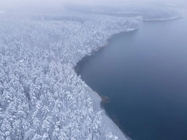 Una Toma Aérea Los Abetos Cubiertos Nieve Cerca Del Lago —  Fotos de Stock