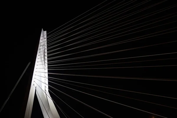 Detailní Architektura Osvětlená Mostní Infrastrukturou Erasmus Nizozemském Přístavním Městě Rotterdam — Stock fotografie