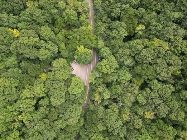 Uma Vista Superior Uma Estrada Meio Uma Floresta — Fotografia de Stock