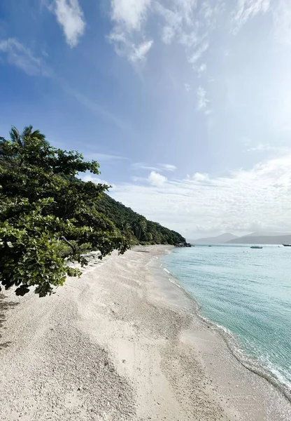 Uma Paisagem Praia Arenosa Com Costa Verde Ilha Fitzroy Austrália — Fotografia de Stock