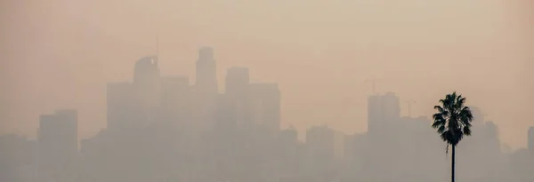 Los Angeles Égbolt Külváros Füstbe Burkolózva Mögötte Egy Tenyérrel — Stock Fotó