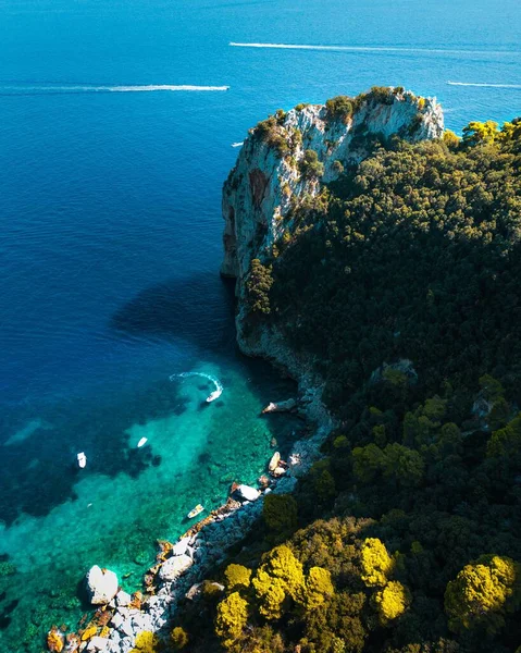 Tiro Aéreo Vertical Penhasco Árvores Tropicais Frente Mar Azul Capri — Fotografia de Stock