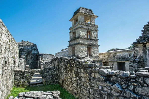 Naturskön Utsikt Över Palenque Ruiner Och Pyramider Blå Himmel Mexiko — Stockfoto