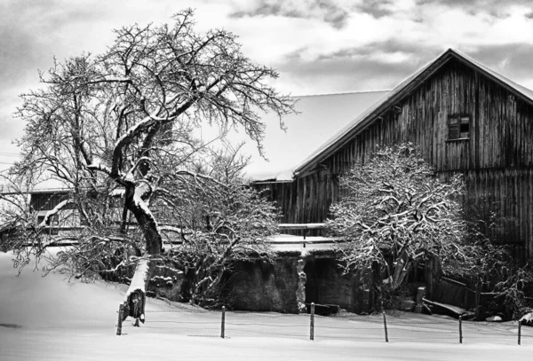 冬の日に納屋付きの雪に覆われた農場の黒と白の景色 — ストック写真