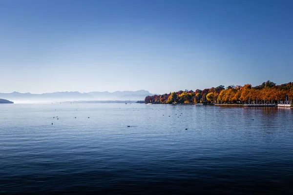 Piękny Widok Jezioro Pobliżu Lasu Zugspitze Niemcy — Zdjęcie stockowe
