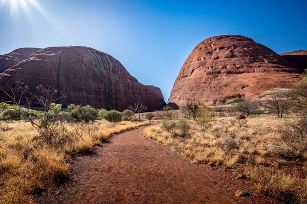 stock image A path through canyon surrounded by bushes