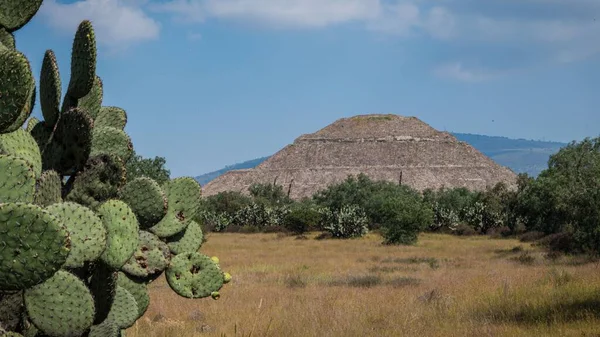 メキシコのテオティワカンのピラミッドの近くの自然 — ストック写真