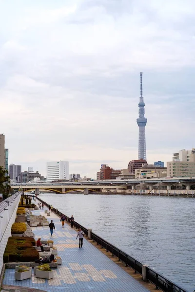 隅田川対岸から見た東京スカイツリータワーの垂直撮影 — ストック写真
